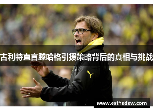 古利特直言滕哈格引援策略背后的真相与挑战