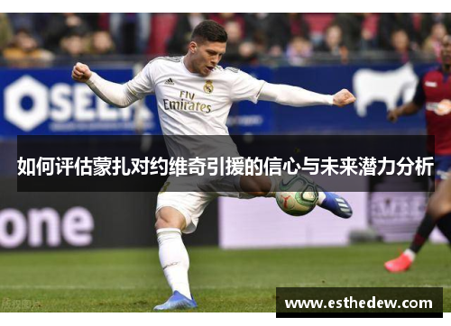 如何评估蒙扎对约维奇引援的信心与未来潜力分析