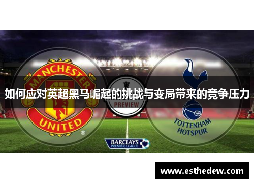 如何应对英超黑马崛起的挑战与变局带来的竞争压力 如何应对英超黑马崛起的挑战与变局带来的竞争压力
