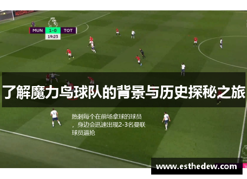 了解魔力鸟球队的背景与历史探秘之旅