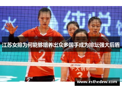 江苏女排为何能够培养出众多国手成为排坛强大后盾