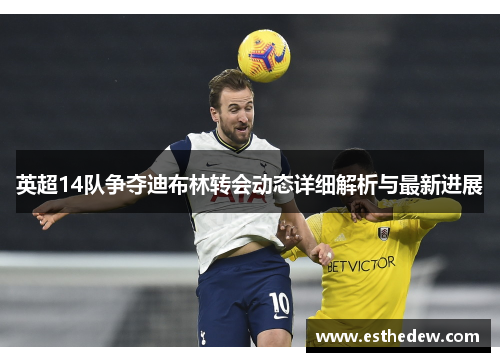 英超14队争夺迪布林转会动态详细解析与最新进展 英超14队争夺迪布林转会动态详细解析与最新进展