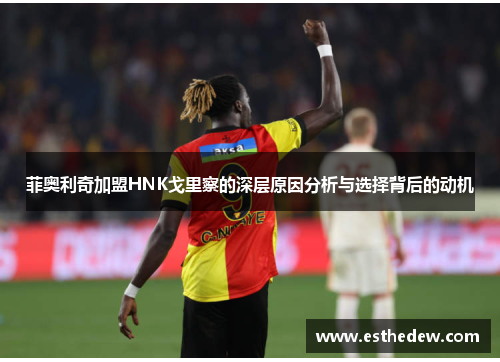 菲奥利奇加盟HNK戈里察的深层原因分析与选择背后的动机 菲奥利奇加盟HNK戈里察的深层原因分析与选择背后的动机