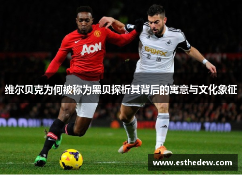 维尔贝克为何被称为黑贝探析其背后的寓意与文化象征