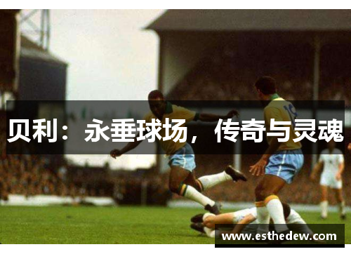 贝利:永垂球场,传奇与灵魂 贝利:永垂球场,传奇与灵魂