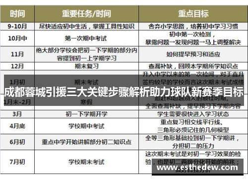 成都蓉城引援三大关键步骤解析助力球队新赛季目标