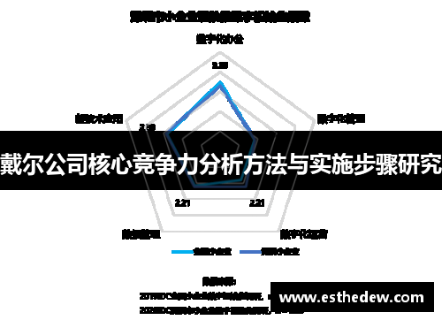 戴尔公司核心竞争力分析方法与实施步骤研究