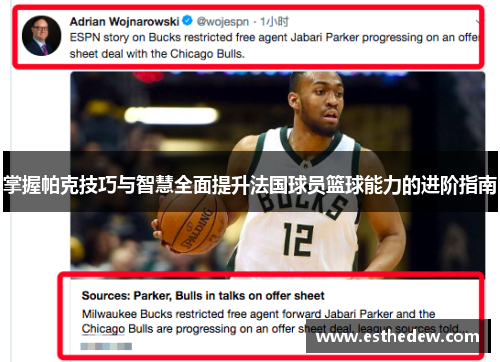 掌握帕克技巧与智慧全面提升法国球员篮球能力的进阶指南